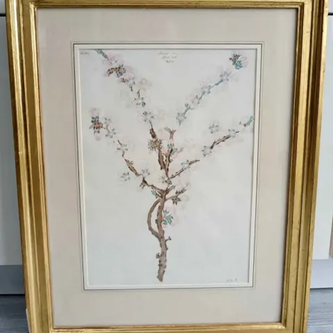 Almond Tree Original Watercolour Painting 1912