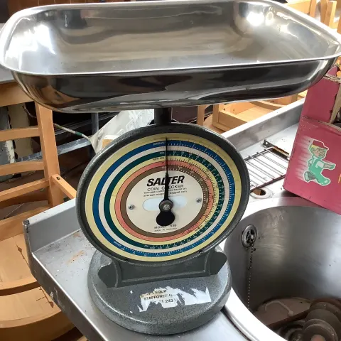 Salter Coin Checker Weighing Scales