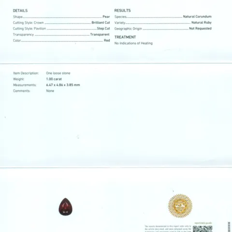 14 K / 585White Gold Diamond and Ruby Earrings ( 100 % Natural )