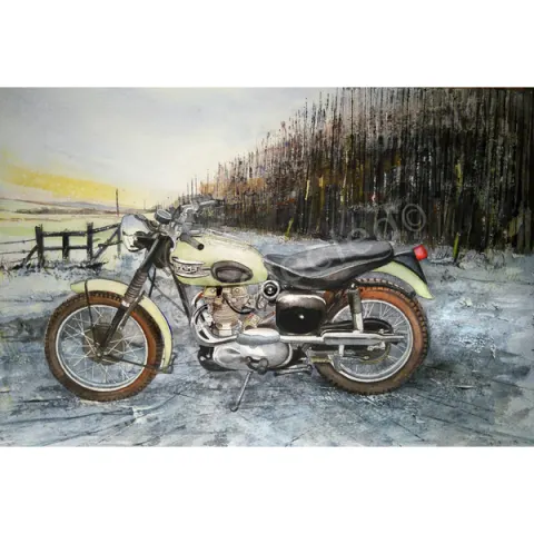  Triumph TR6 c Scrambler Motorbike Metal Wall Art
