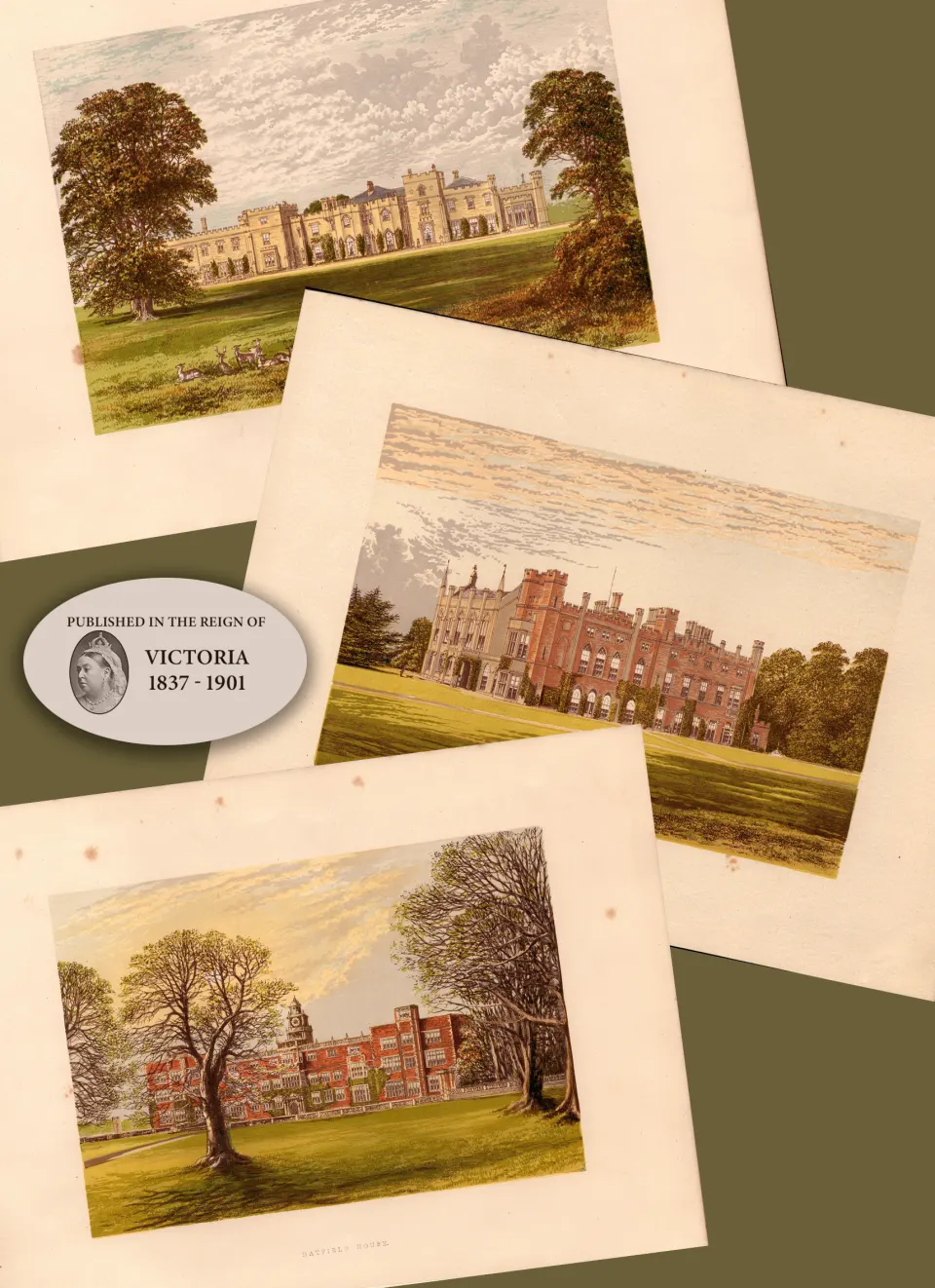 Hertfordshire 150 Years-Old  Job Lot Gilt-Edge Coloured Victorian Antique Book Plates
