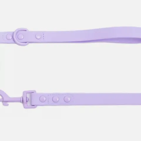 5 X FRENCHIE WATERPROOF LEASH - VIOLET