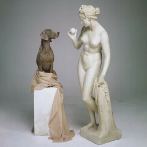 William Wegman Signed Limited Edition Photograph "On Base" 2020" Doig Statue