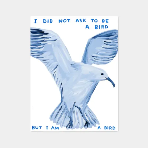 David Shrigley OBE (b 1968) ‘I Did Not Ask To Be a Bird’ Offset Lithograph, Edition, 2021
