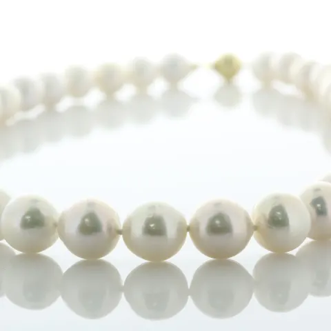 18 inch White Round 10.0 - 12.0mm Ming Pearl Necklace With 9ct Yellow Gold Clasp