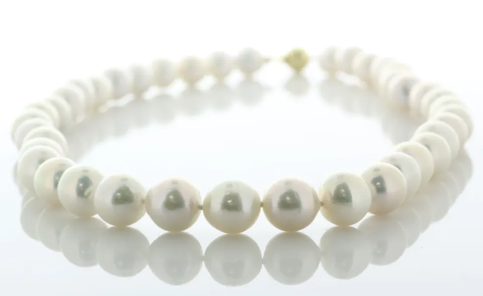 18 inch White Round 10.0 - 12.0mm Ming Pearl Necklace With 9ct Yellow Gold Clasp