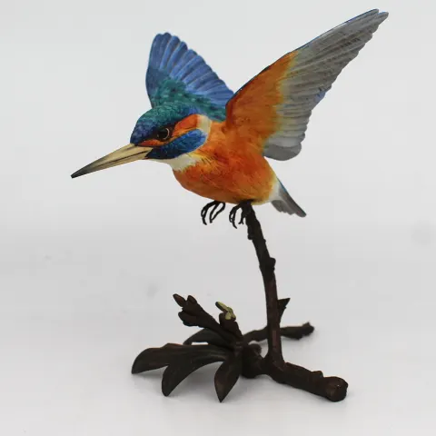 Albany Kingfisher