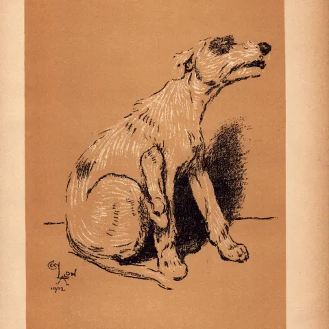Cecil Aldin Antique Lovable Scamp Of a Terrier illustration A Dog Day -17.