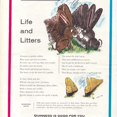 Original 62-Year-Old 1962 Guinness Print Life & Litters GE 3384  #-29.