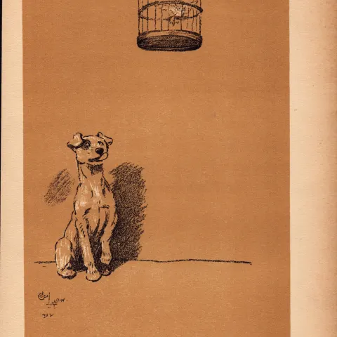 Cecil Aldin Antique Lovable Scamp Of a Terrier illustration A Dog Day -10.