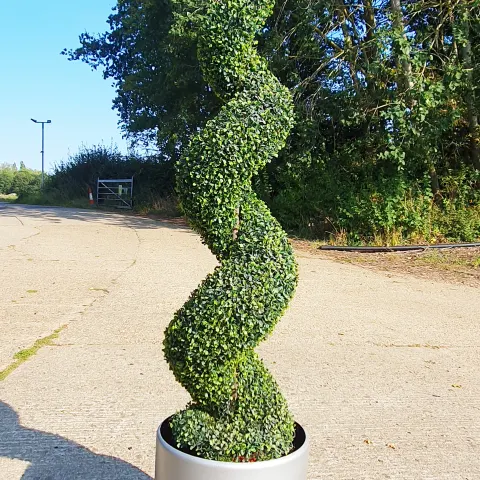 Large Industrial Metal Planter With Spiralling Artificial Hedge Plant. Approx 2.14m Tall. RRP £599
