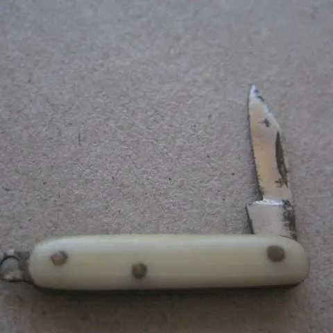 Miniature Bone Hafted Steel Bladed Folding Fruit Knife