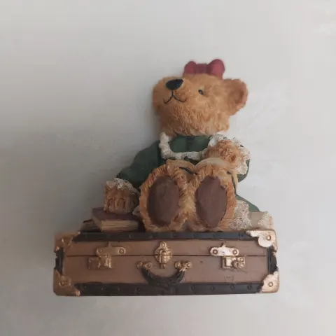 Teddy on suitcase