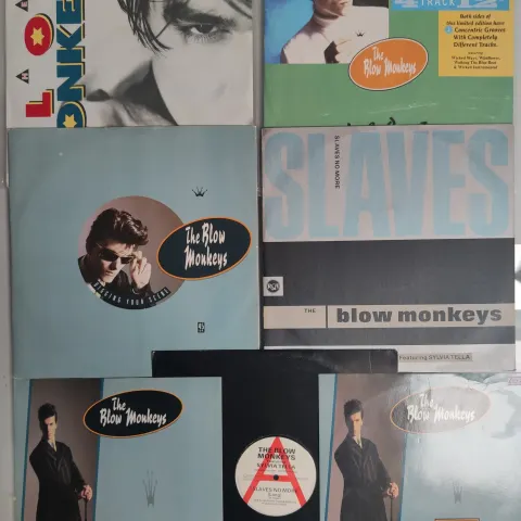 7 x The Blow Monkeys Vinyl LPs – 12" Single 10” Single and Promo