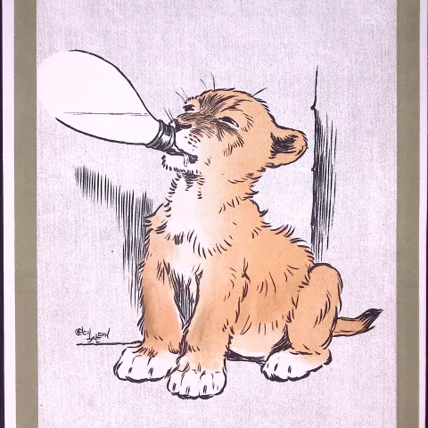 Cecil Aldin Antique Zoo Babies Scarce Illustration “Lion Cub Drinking”-13