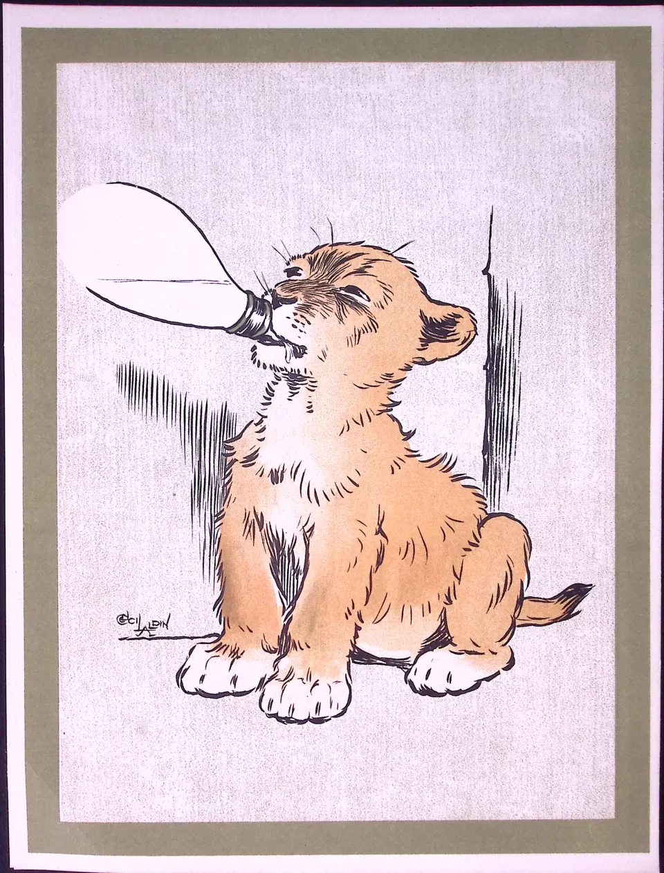 Cecil Aldin Antique Zoo Babies Scarce Illustration “Lion Cub Drinking”-13