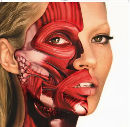 Damien Hirst Signed Limited Edition (666) of Kate Moss Record Cover Numbered
