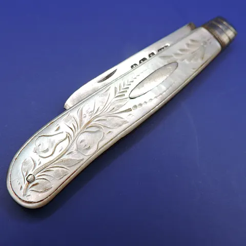 Victorian Silver and Mother of Pearl Fruit Knife 1894