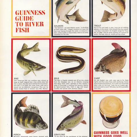 Original 58-Year-Old 1966 Guinness Guide To River Fish Print GE 3981 #-35.