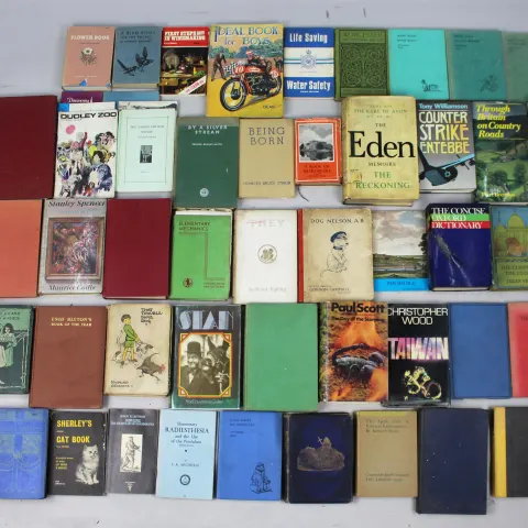 Collection of Books Old and Vintage
