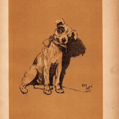 Cecil Aldin Antique Lovable Scamp Of a Terrier illustration A Dog Day -3