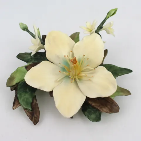 Royal Worcester Flower Hibiscus & Edelweiss