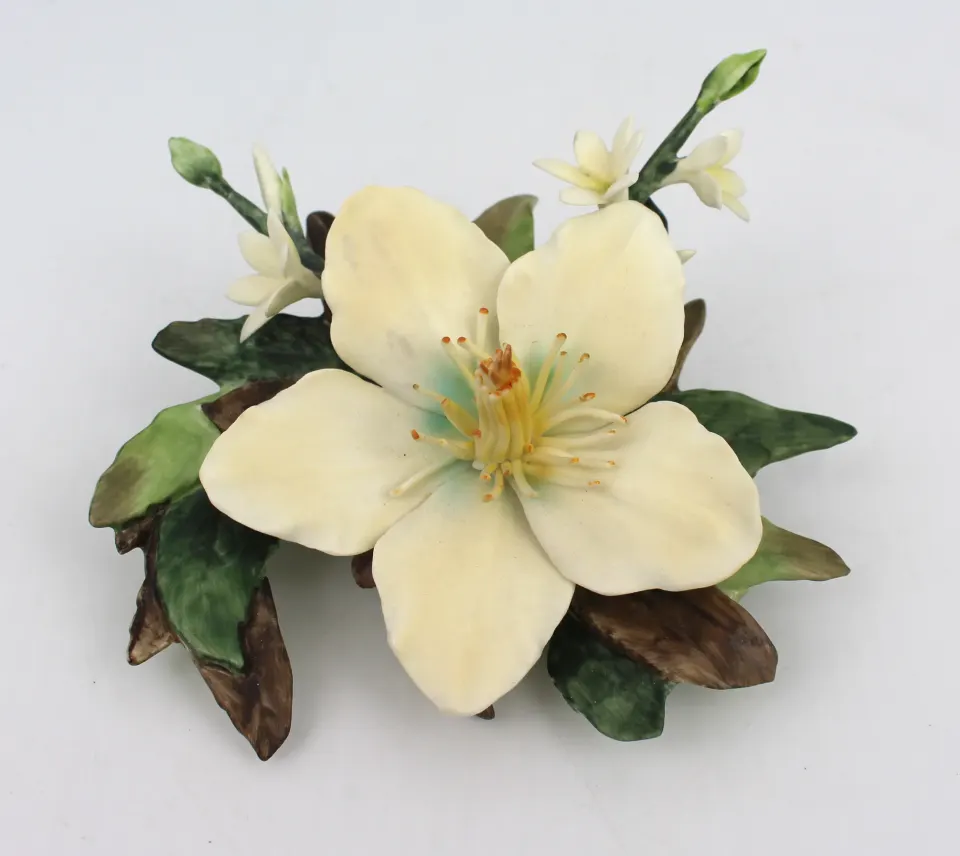 Royal Worcester Flower Hibiscus & Edelweiss