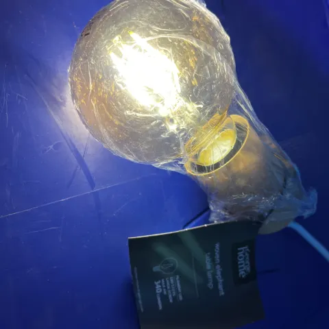 H5/C - Domestic Large Decorative Light Bulb, switch and plug - tested working