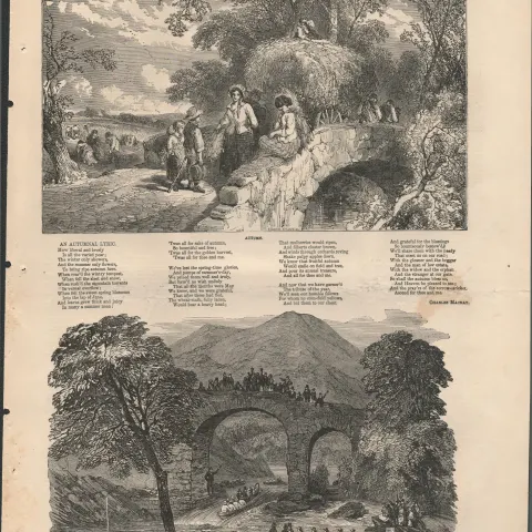 Killarney The Rapids Old Weir Bridge 1849 Antique Woodgrain Print
