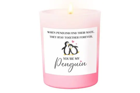 Penguin Anniversary Candle Gift for Couples L6b