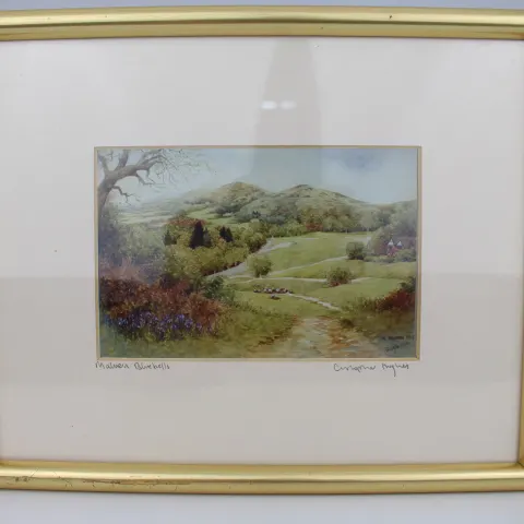 Pair of Limited Edition Framed Worcester Prints