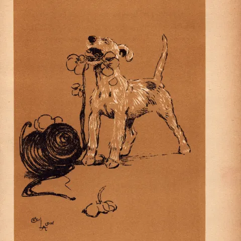 Cecil Aldin Antique Lovable Scamp Of a Terrier illustration A Dog Day -7.