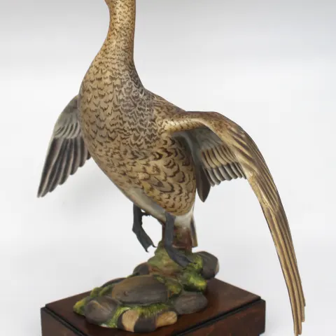 Royal Worcester American Pintail by Ronald van Ruyckevelt