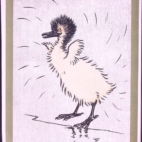 Cecil Aldin Antique Zoo Babies Scarce Illustration “Sacred Ibis”-20