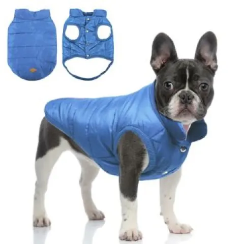 10 x Winter Coats for Dogs L13c sku-3984