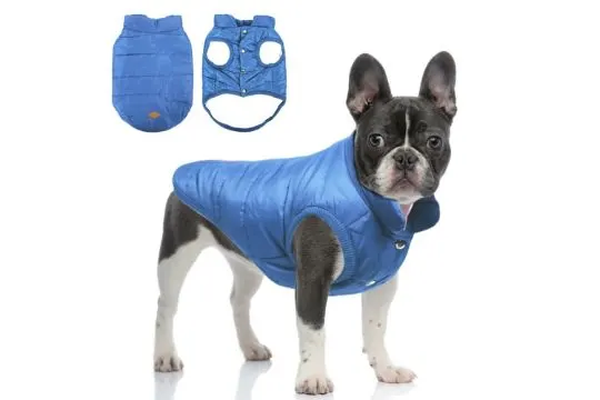 10 x Winter Coats for Dogs L13c sku-3984