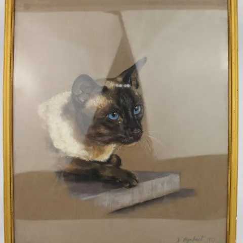 Pastel Siamese Cat by Jeanne Rynhart (1946-2020)