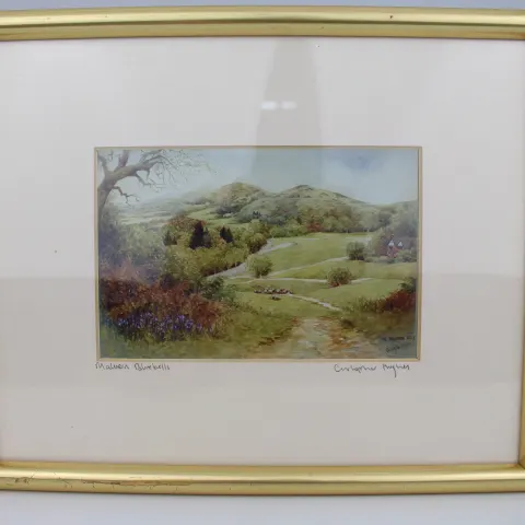 Pair of Limited Edition Framed Worcester Prints