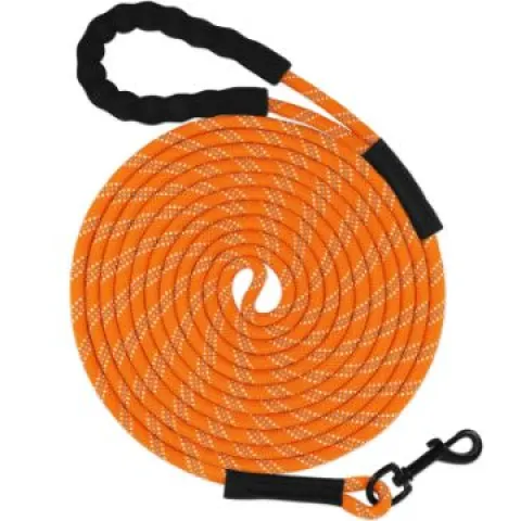 Training Lead for Dogs 5m L13b