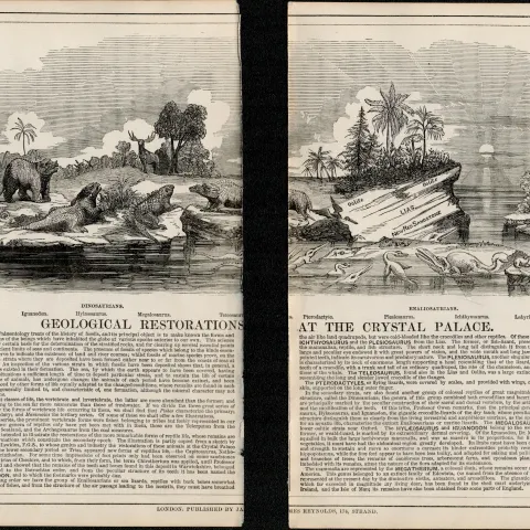 Rare James Reynolds Antique Geology Geological Restorations.
