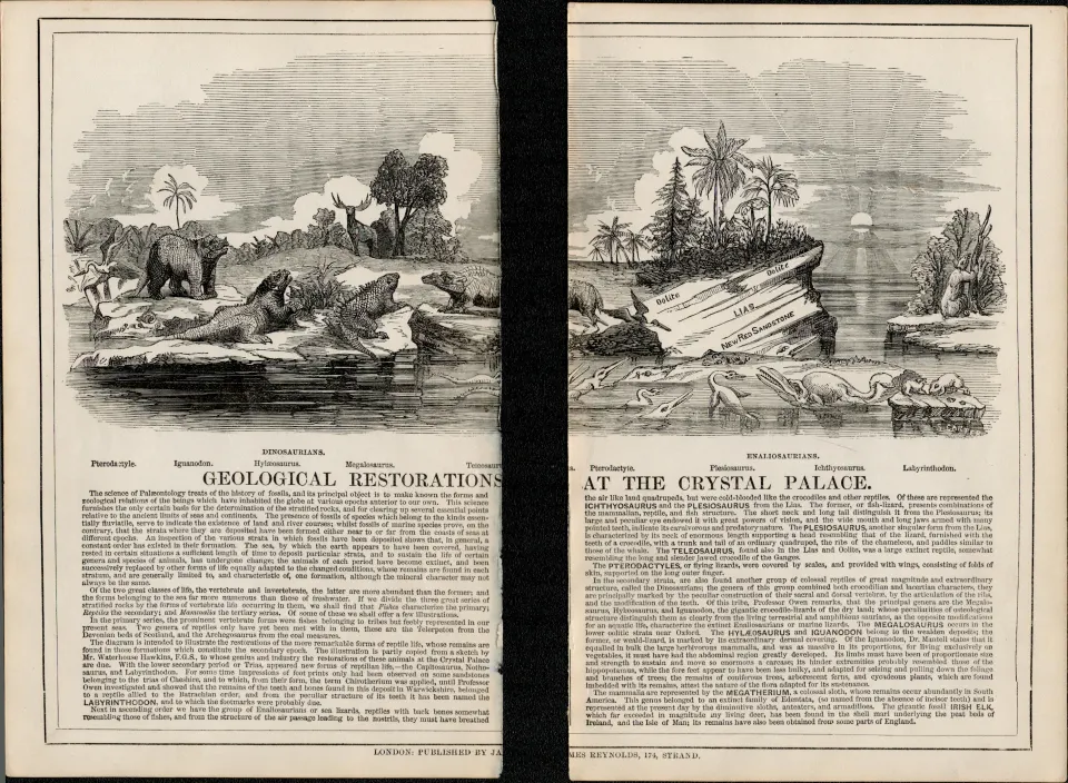 Rare James Reynolds Antique Geology Geological Restorations.
