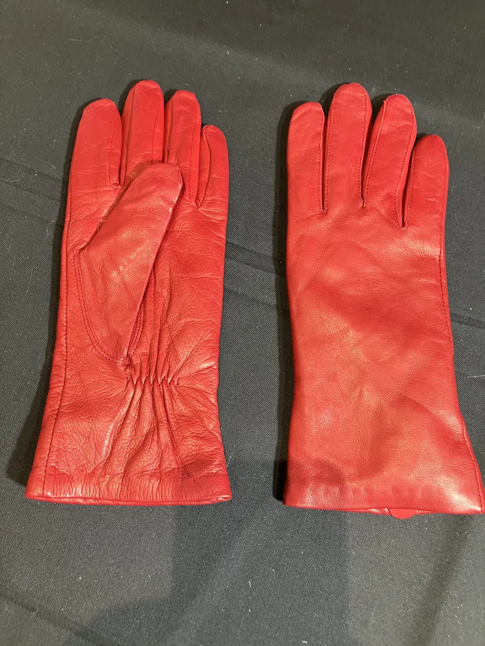 Harssdanzar leather gloves worn by Vanessa Hudgens