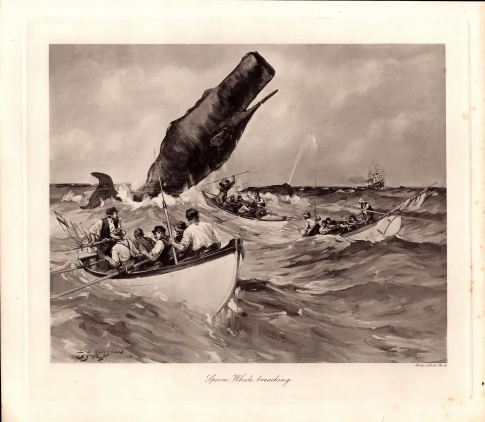 Sperm Whale Breaching Rare Limited-Edition J.G. Millais Antique Print-3.