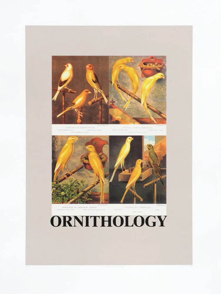 Sir Peter Blake RA Beatles Fame Original 1991 Set O Is For Ornithology Free Post Worldwide