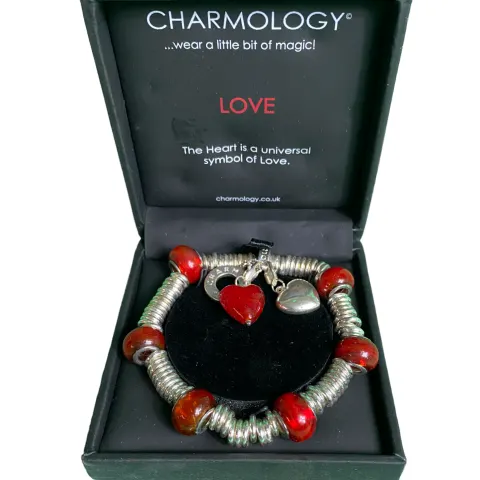6 x Charmology Love Bracelet RRP £16.99