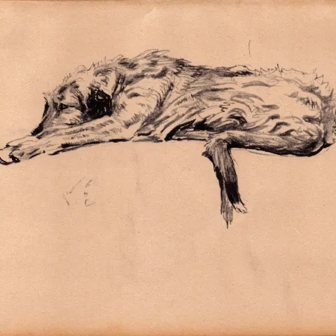 Cecil Aldin Original Vintage 88 Years Old Illustration How to Draw Dogs-12.