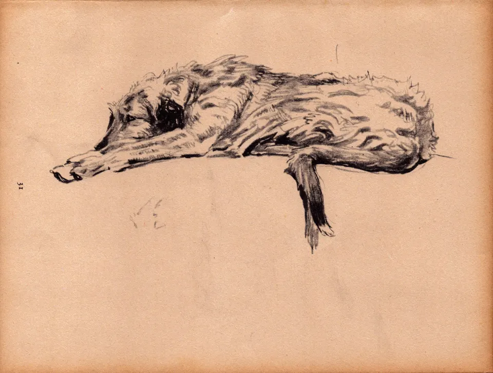 Cecil Aldin Original Vintage 88 Years Old Illustration How to Draw Dogs-12.
