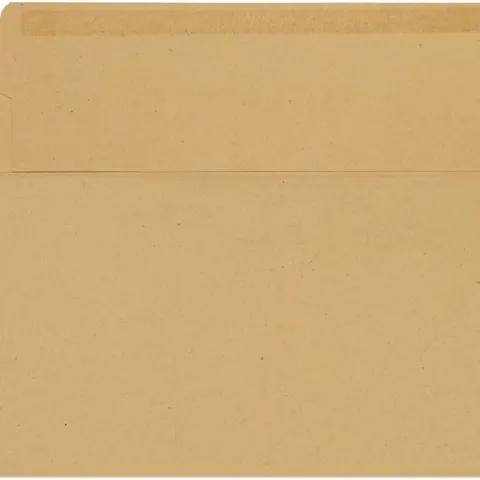 6 x Blue Label 110 x 220 mm 80 gsm Manilla Self Seal Wallet Envelopes - Pack of 1000 L16b