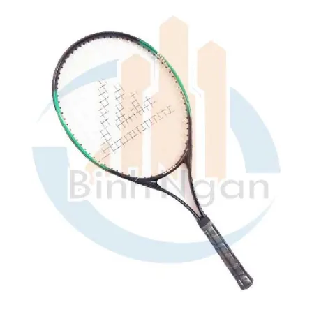 10 x Lanwei Tennis Racket