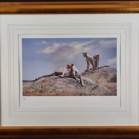 Spencer Hodge Signed Limited Edition